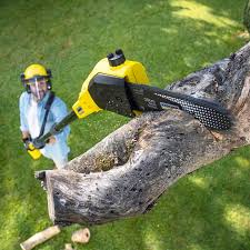 Best Lawn Irrigation Installation and Maintenance  in Burlington, WA